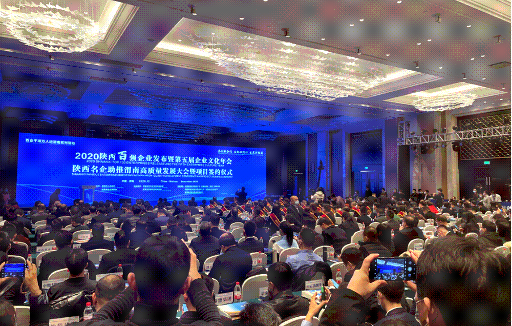 这个大会上，db电竞斩获多项荣誉！